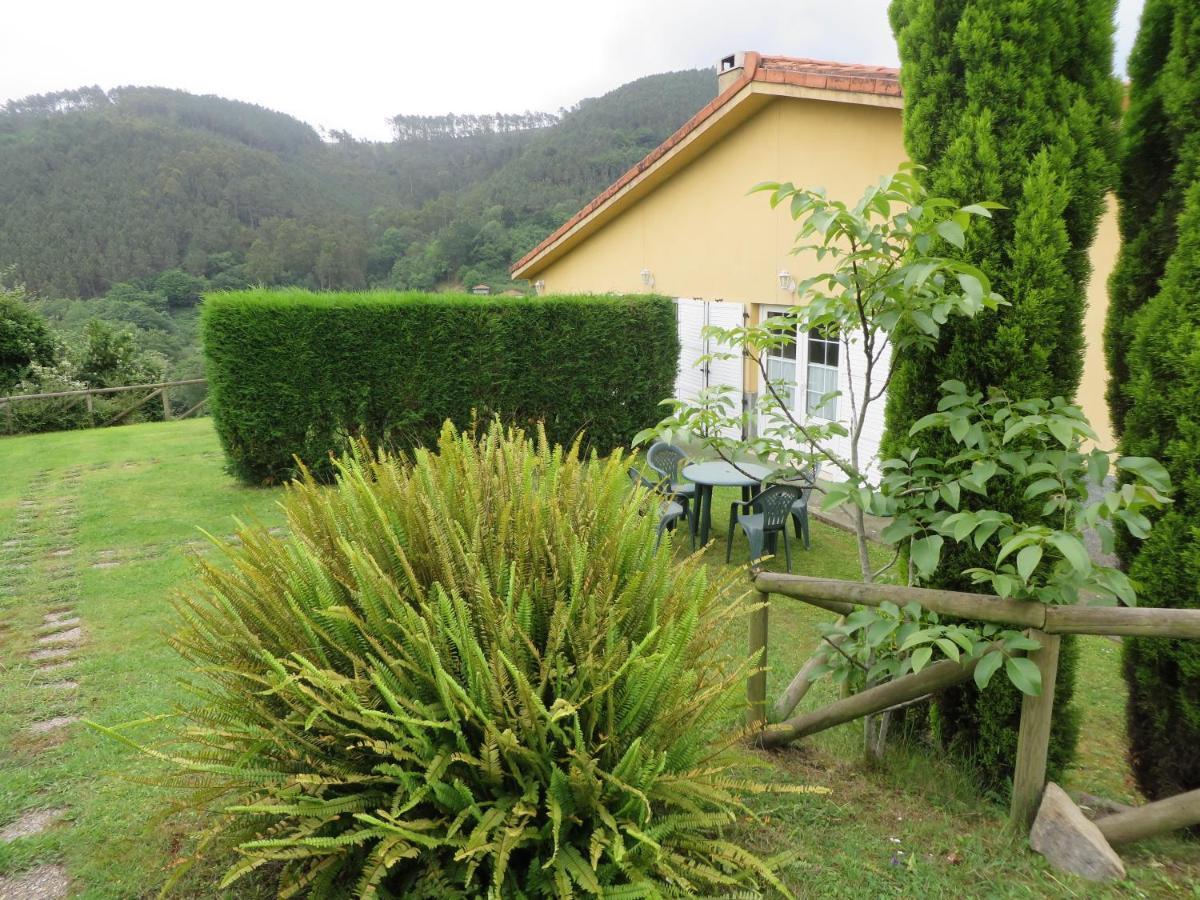 Apartamentos El Otero De Cudillero Сото-де-Луинья Номер фото